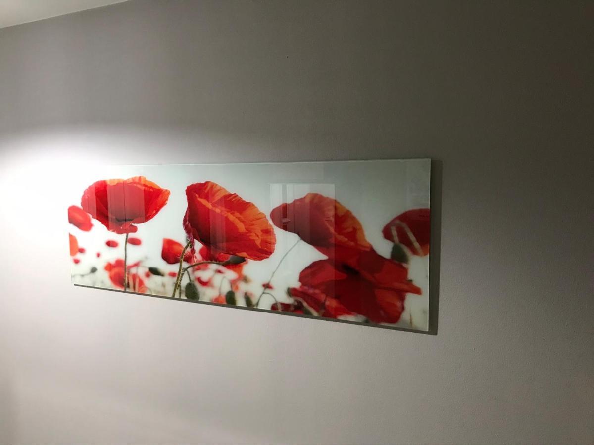 Flanders Fields Lägenhet Dingwall Exteriör bild